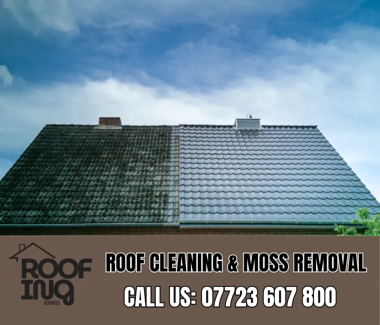 Roof cleaning and moss removal in Fowey